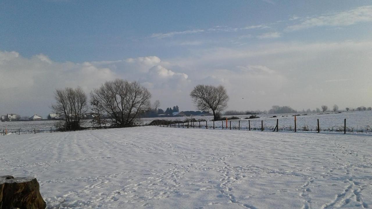 B & B Victors Hof, Met Zwemvijver In Landelijke Setting Lievegem Exterior foto