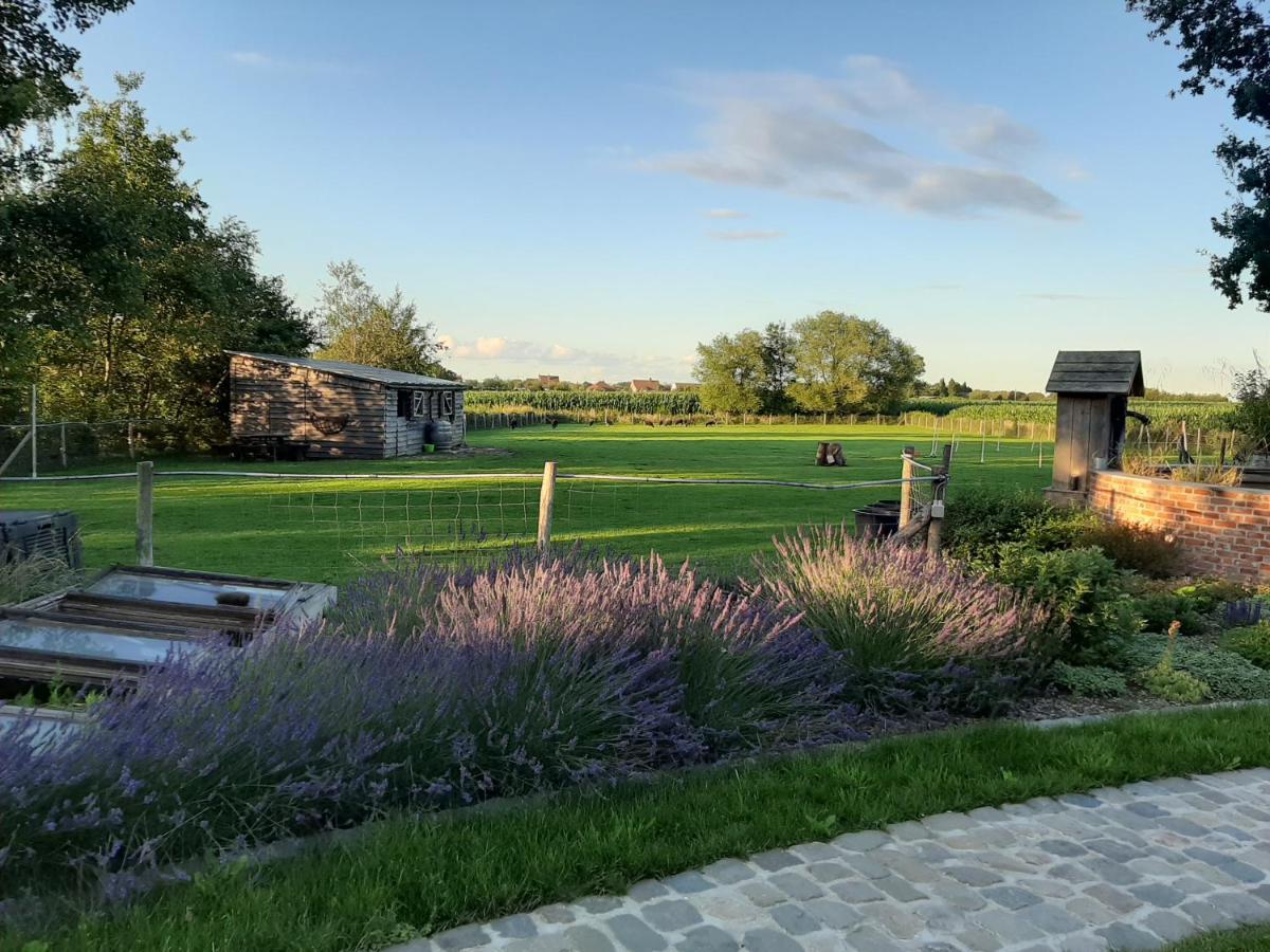 B & B Victors Hof, Met Zwemvijver In Landelijke Setting Lievegem Exterior foto