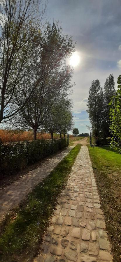 B & B Victors Hof, Met Zwemvijver In Landelijke Setting Lievegem Exterior foto