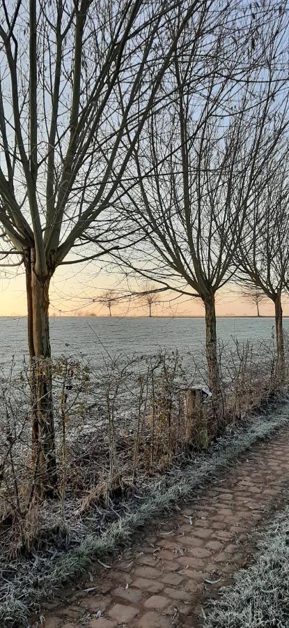B & B Victors Hof, Met Zwemvijver In Landelijke Setting Lievegem Exterior foto